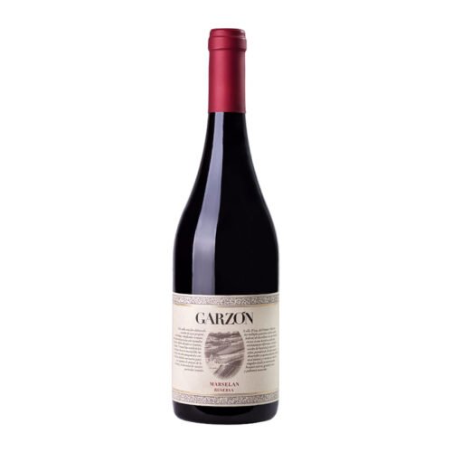 Garzon Reserve Marselan 2022